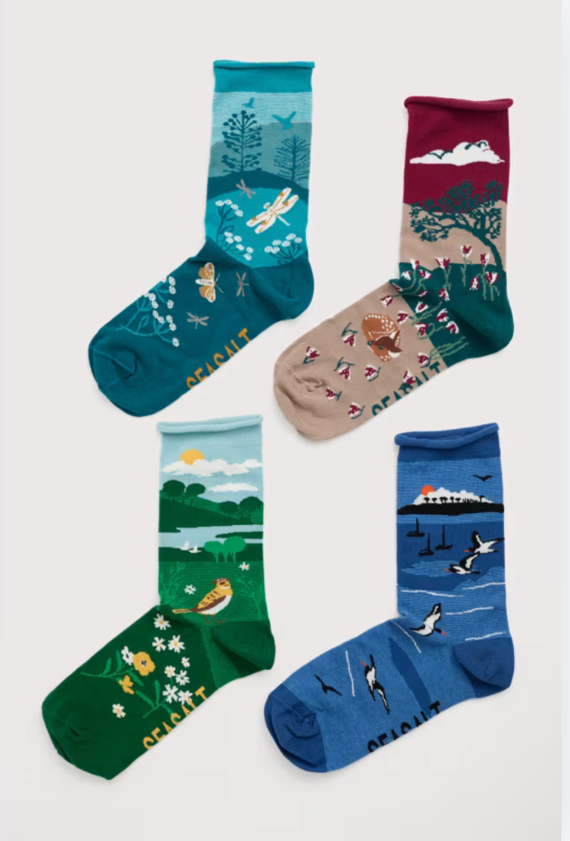 Seasalt Cornwall Gift Box of 4 Women's Arty Socks Scenic in Signpost Mix