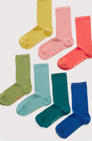 Seasalt Cornwall Gift Box of 7 Women's Arty Socks in Palette Mix