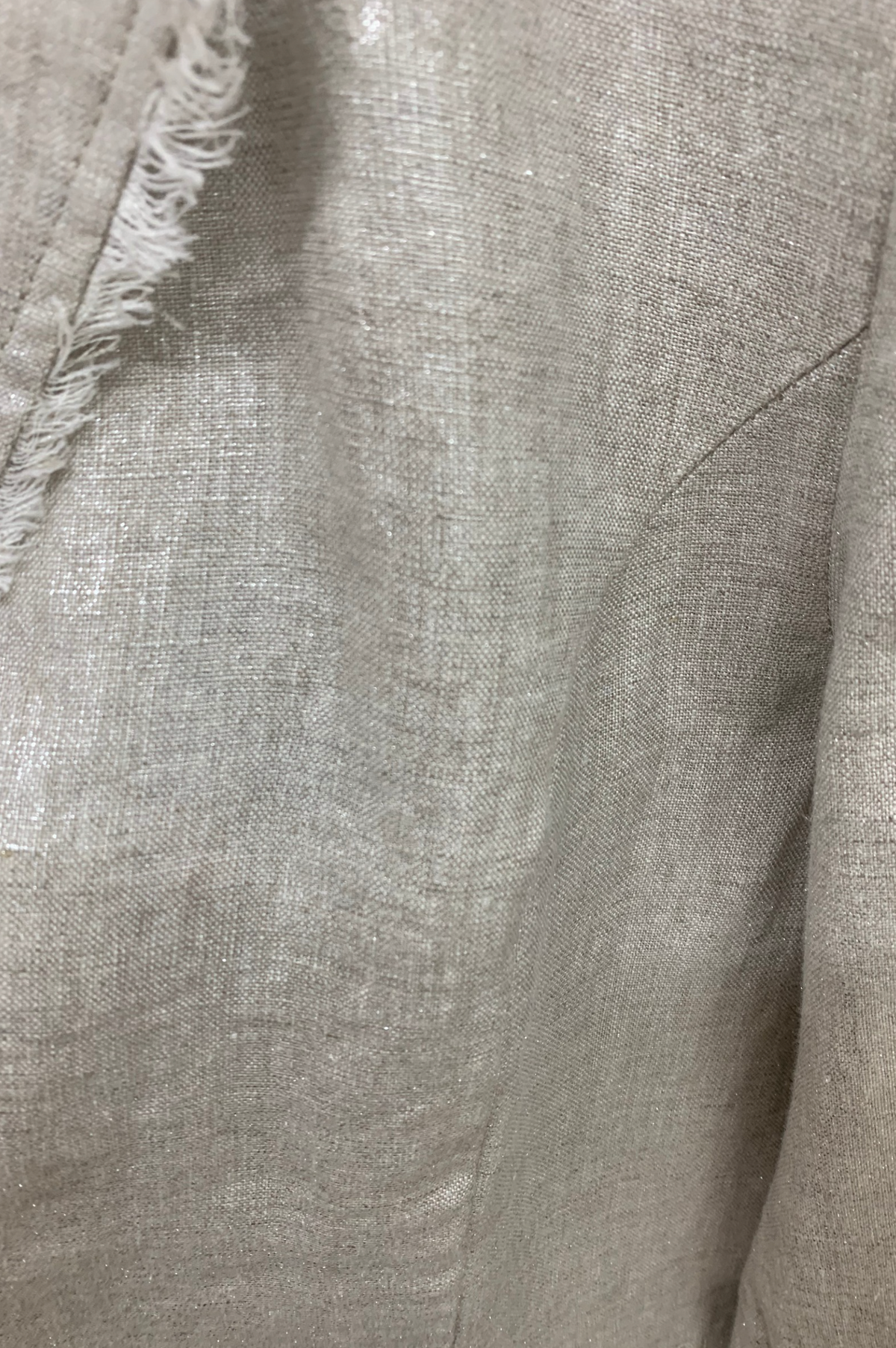 Foil Blazing The Saddles Blazer in Metallic