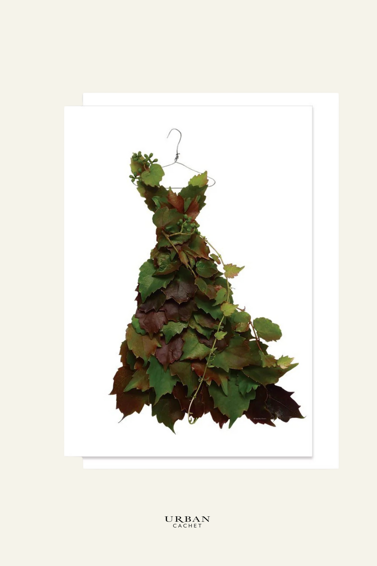 petal & pins autumn grapevine dress greeting card