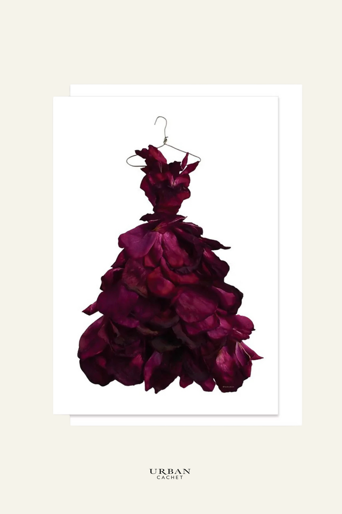 petal & pins red wine rose gown greeting card
