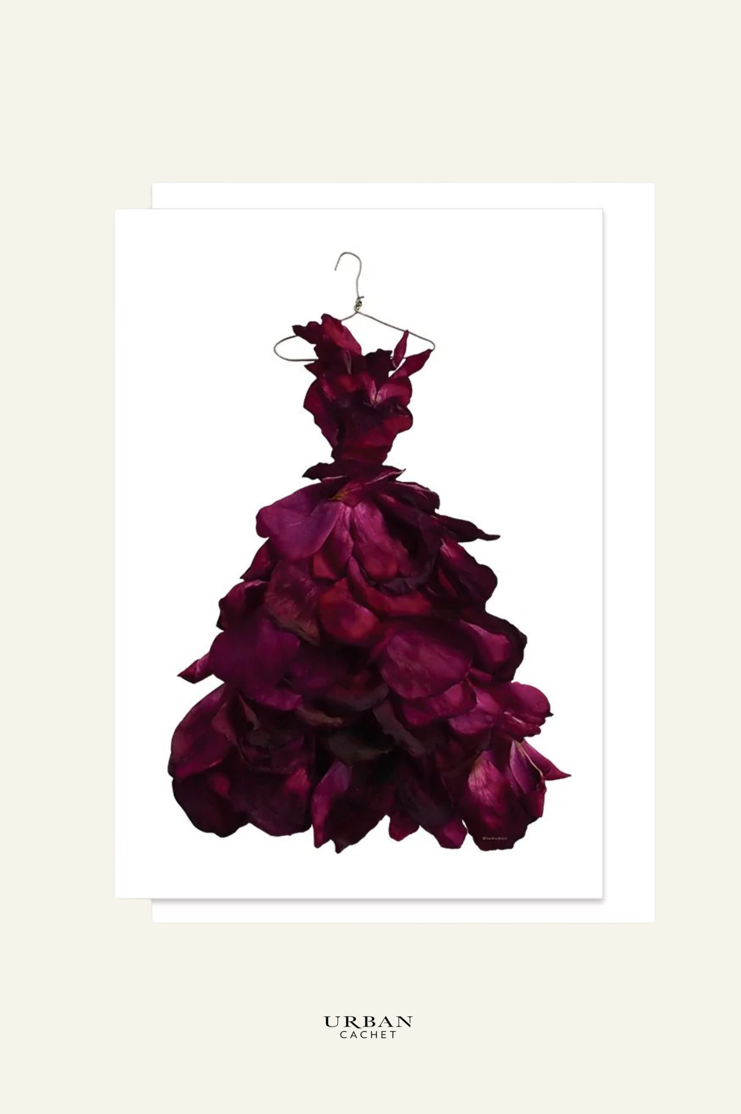 petal & pins red wine rose gown greeting card